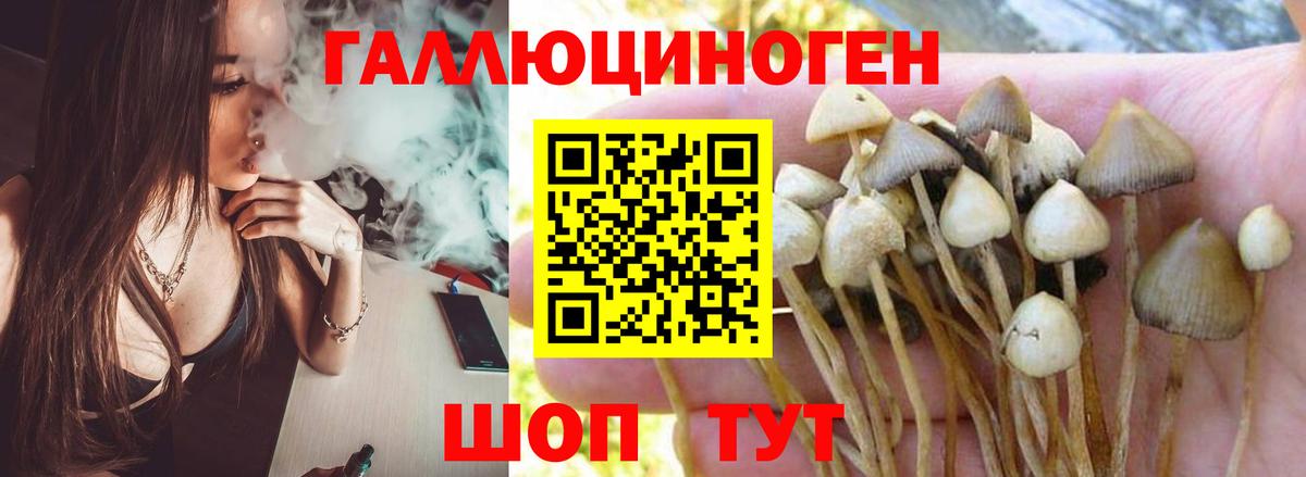 Псилоцибиновые грибы Magic Shrooms Кизилюрт